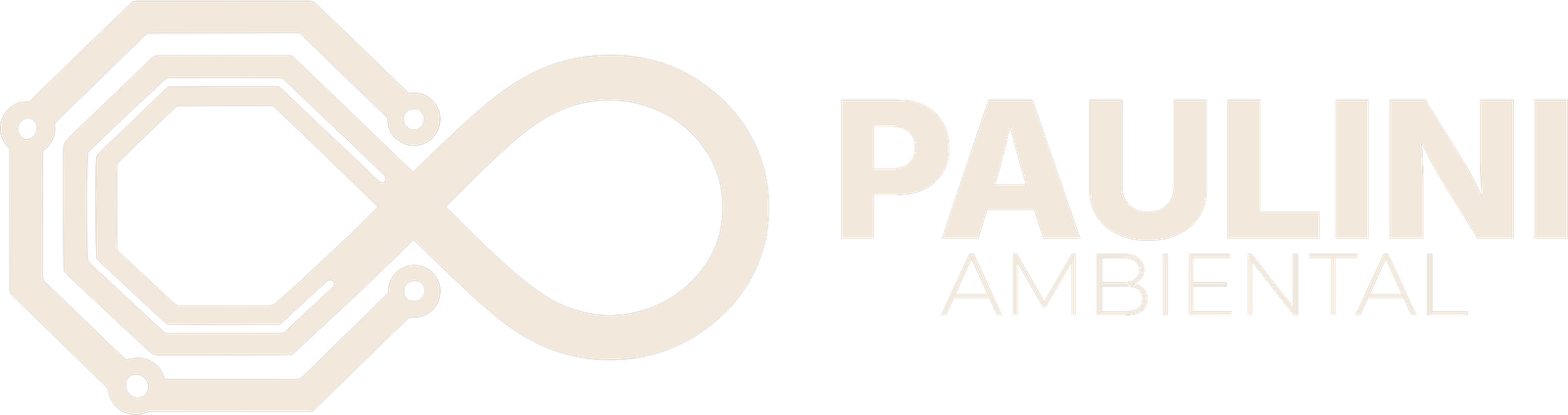 Paulini Ambiental